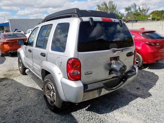 1J4GK38K53W673507 - 2003 JEEP LIBERTY RENEGADE  photo 3