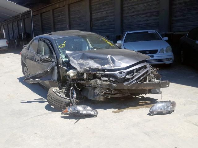 5YFBU4EE3DP182491 - 2013 TOYOTA COROLLA BASE  صورة 1