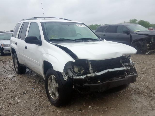 1GNDT13S982214889 - 2008 CHEVROLET TRAILBLAZER LS  photo 1