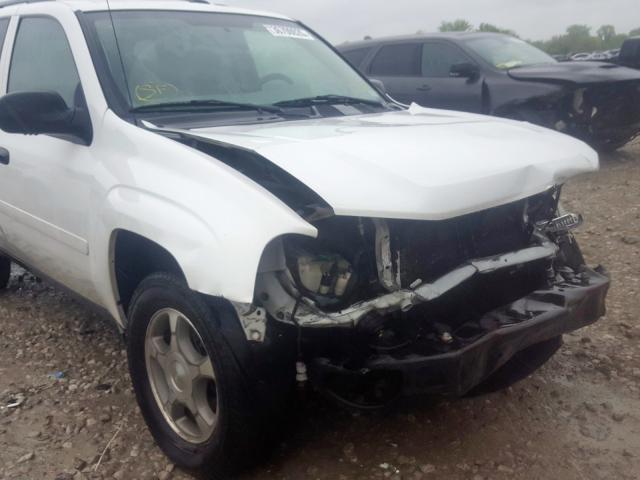 1GNDT13S982214889 - 2008 CHEVROLET TRAILBLAZER LS  photo 10