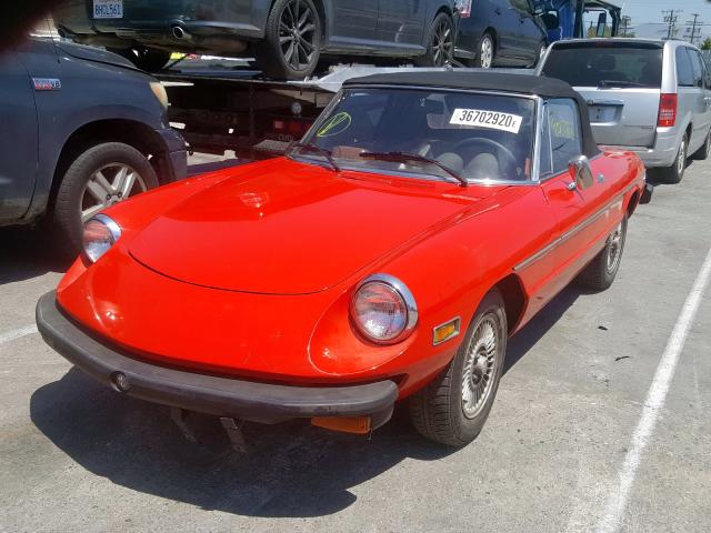 AR115410001370 - 1977 ALFA ROMEO SPIDER  photo 2