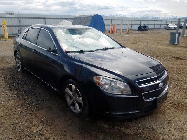 1G1ZC5E13BF332861 - 2011 CHEVROLET MALIBU 1LT  照片 1