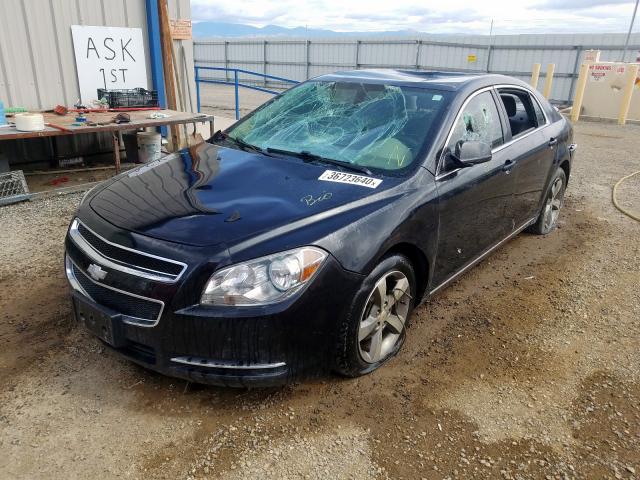 1G1ZC5E13BF332861 - 2011 CHEVROLET MALIBU 1LT  照片 2