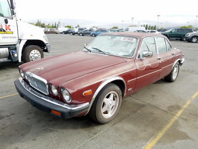 SAJAV1340FC418903 - 1985 JAGUAR XJ6  photo 2