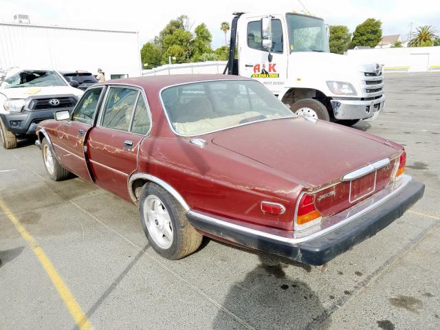 SAJAV1340FC418903 - 1985 JAGUAR XJ6  photo 3