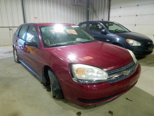 1G1ZT62805F169193 - 2005 CHEVROLET MALIBU MAXX LS  ფოტო 1
