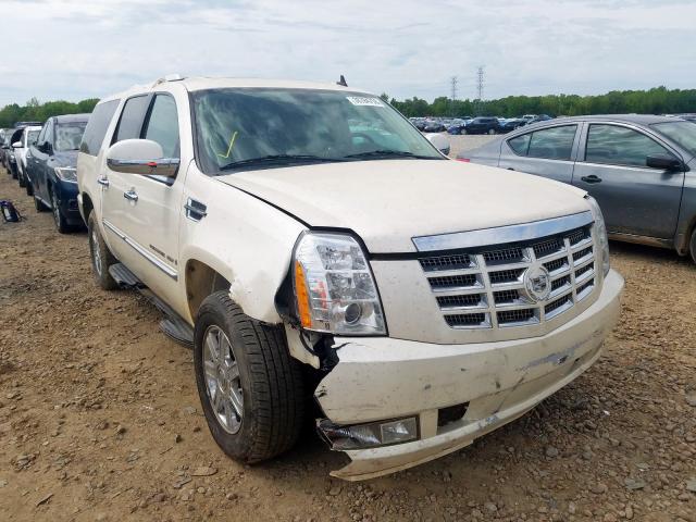 1GYFC66878R217838 - 2008 CADILLAC ESCALADE ESV  photo 1