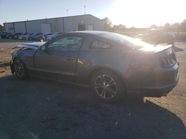 1ZVBP8AM0D5243785 - 2013 FORD MUSTANG GRAY photo 2