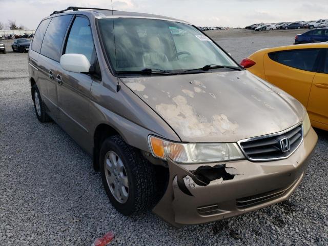 5FNRL18074B072314 - 2004 HONDA ODYSSEY EXL GOLD photo 4