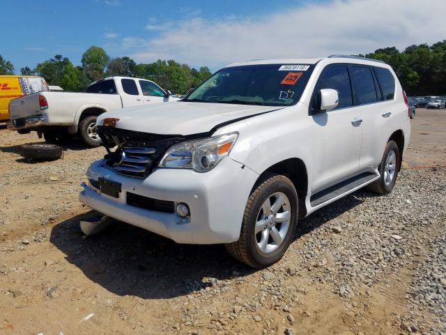 JTJBM7FX4A5002894 - 2010 LEXUS GX 460  photo 2