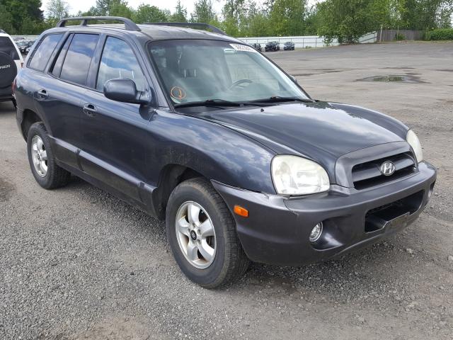 KM8SC13D65U936267 - 2005 HYUNDAI SANTA FE GLS  photo 1