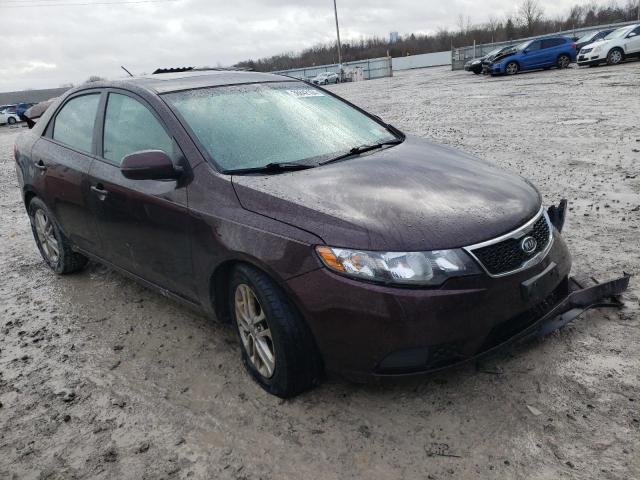 KNAFU4A23B5398975 - 2011 KIA FORTE EX PURPLE photo 4