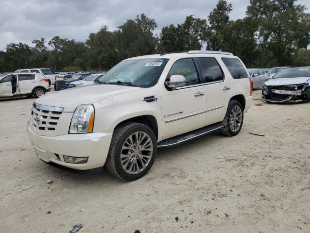 1GYFC53209R116071 - 2009 CADILLAC ESCALADE SPORT WHITE photo 1