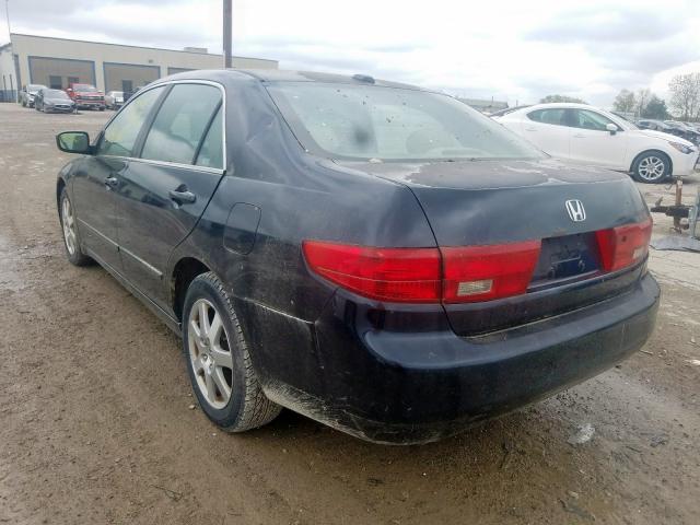 1HGCM66505A059852 - 2005 HONDA ACCORD EX  photo 3