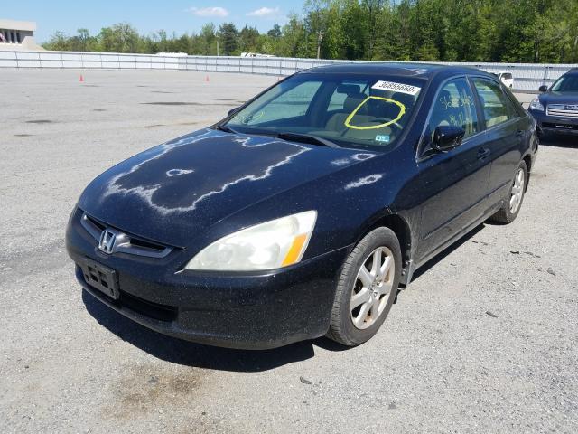 1HGCM66505A049211 - 2005 HONDA ACCORD EX  photo 2