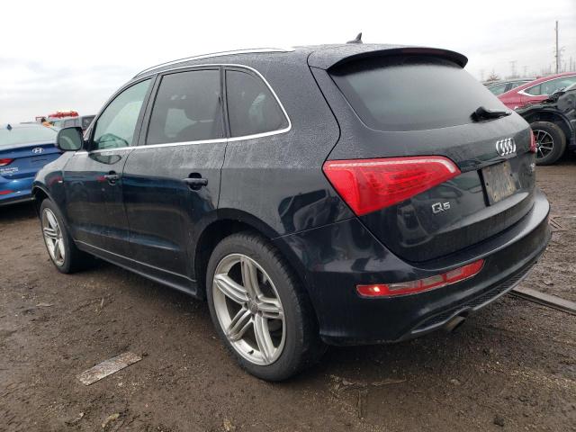 WA1MKAFP5AA103913 - 2010 AUDI Q5 PREMIUM PLUS BLACK photo 2