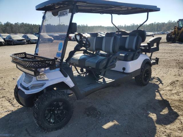 1407197 - 2023 OTHER GOLF CART WHITE photo 2