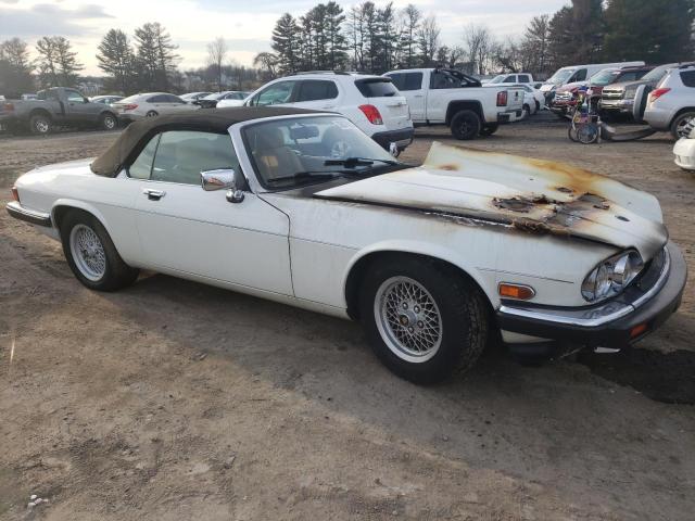 SAJNW4841LC172027 - 1990 JAGUAR XJS WHITE photo 4