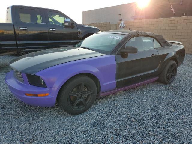1ZVFT84N755233838 - 2005 FORD MUSTANG TWO TONE photo 1