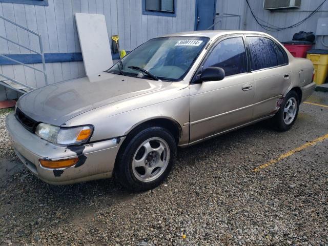 1NXBB02E0TZ495451 - 1996 TOYOTA COROLLA DX BROWN photo 1