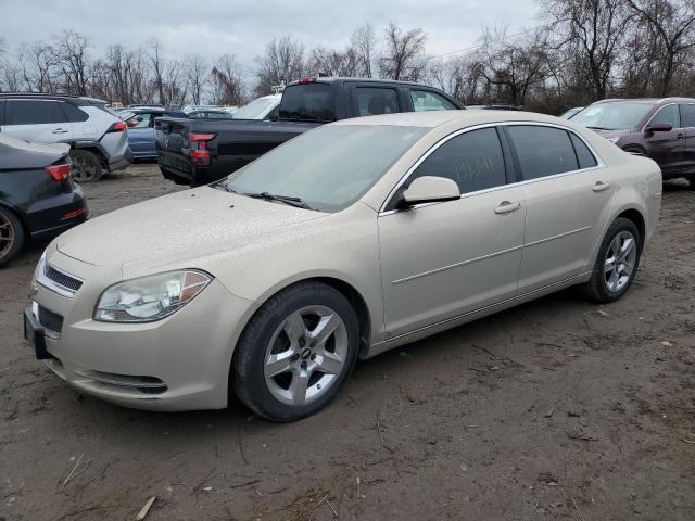 1G1ZH57B39F177746 - 2009 CHEVROLET MALIBU 1LT ოქროსფერი ფოტო 1