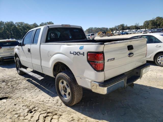 1FTFX1EF8DFD23210 - 2013 FORD F150 SUPER CAB WHITE photo 2