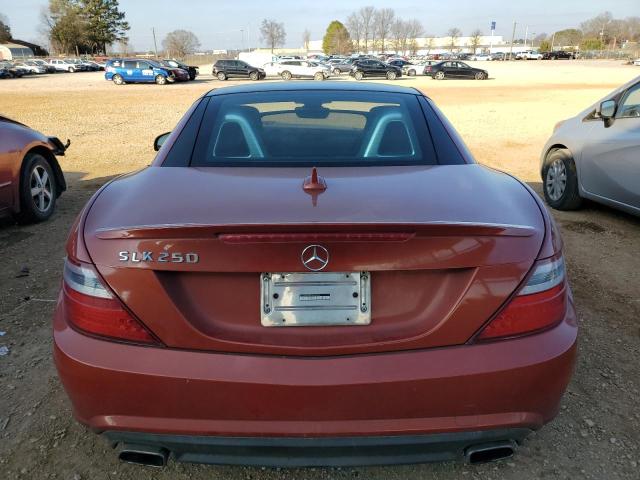 WDDPK4HA1EF076429 - 2014 MERCEDES-BENZ SLK 250 RED photo 10