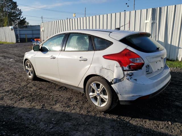 1FADP3K24DL311955 - 2013 FORD FOCUS SE WHITE photo 2