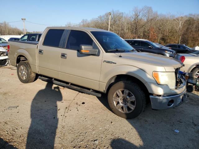 1FTEW1C80AFB70451 - 2010 FORD F150 SUPERCREW BEIGE photo 4