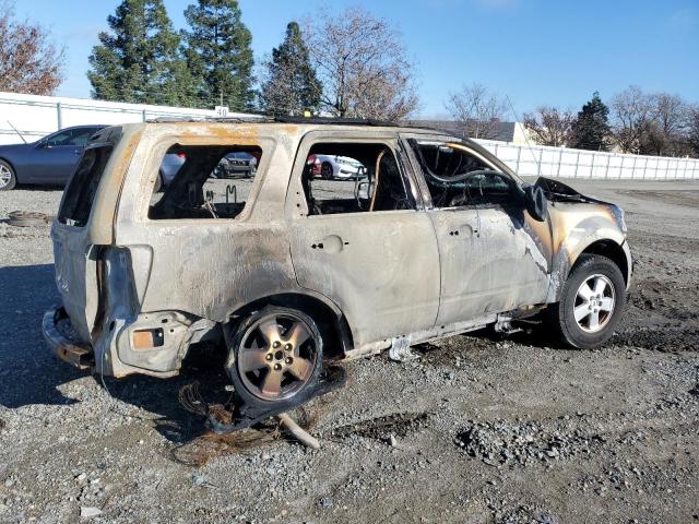 1FMCU0D79BKA93645 - 2011 FORD ESCAPE XLT BURN photo 3