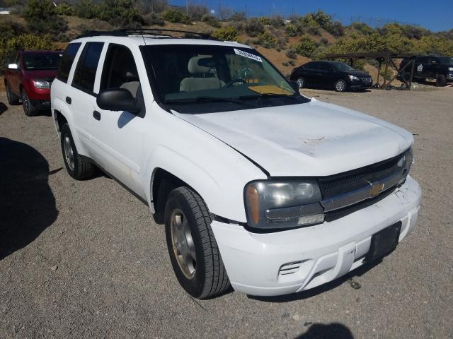 1GNDT13S882228959 - 2008 CHEVROLET TRAILBLAZER LS  photo 1