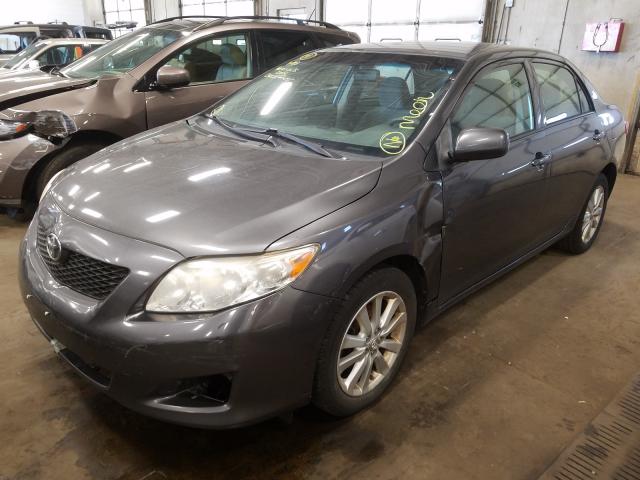 JTDBL40E39J008149 - 2009 TOYOTA COROLLA BASE  foto 2