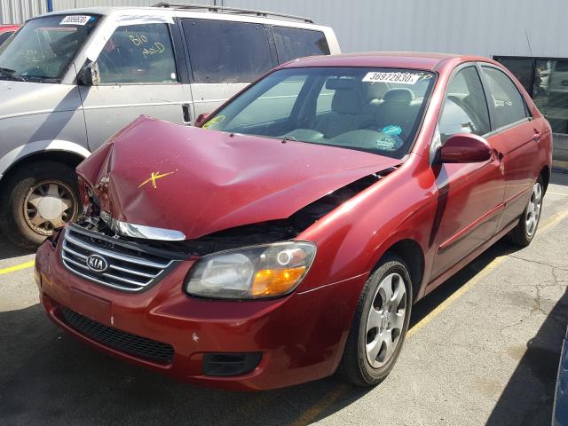 KNAFE222295663668 - 2009 KIA SPECTRA EX  photo 2