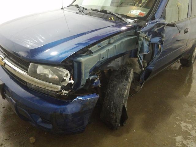 1GNDT13S762174194 - 2006 CHEVROLET TRAILBLAZER LS  photo 9