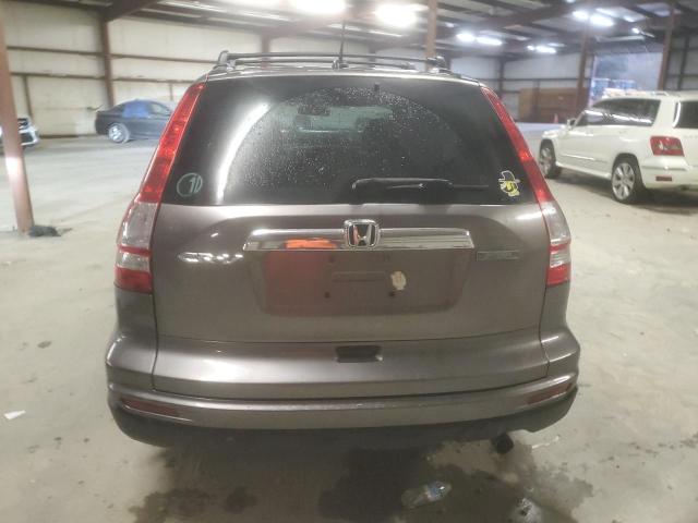 5J6RE3H79AL031463 - 2010 HONDA CR-V EXL BROWN photo 6