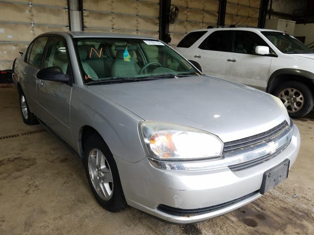 1G1ZT54844F106409 - 2004 CHEVROLET MALIBU LS  photo 1