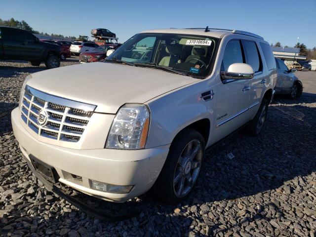 1GYUKCEF3AR176249 - 2010 CADILLAC ESCALADE PREMIUM WHITE photo 1