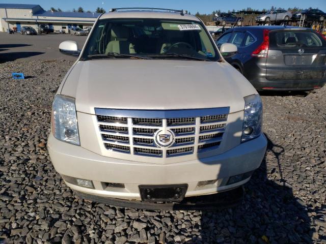 1GYUKCEF3AR176249 - 2010 CADILLAC ESCALADE PREMIUM WHITE photo 5