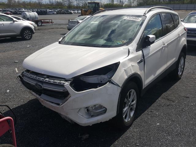 1FMCU9HD9KUA10322 - 2019 FORD ESCAPE SEL  photo 2