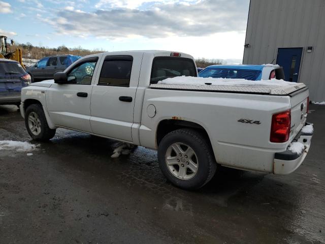 1D7RW3GPXBS695899 - 2011 DODGE DAKOTA SLT WHITE photo 2