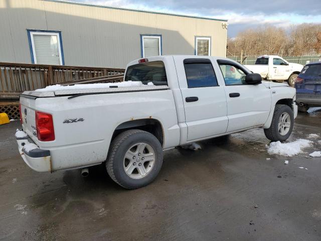 1D7RW3GPXBS695899 - 2011 DODGE DAKOTA SLT WHITE photo 3