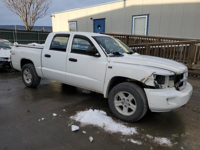 1D7RW3GPXBS695899 - 2011 DODGE DAKOTA SLT WHITE photo 4