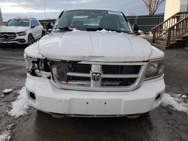 1D7RW3GPXBS695899 - 2011 DODGE DAKOTA SLT WHITE photo 5