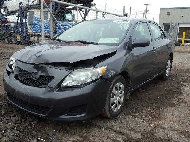 2T1BU4EE5AC339420 - 2010 TOYOTA COROLLA BASE  photo 2