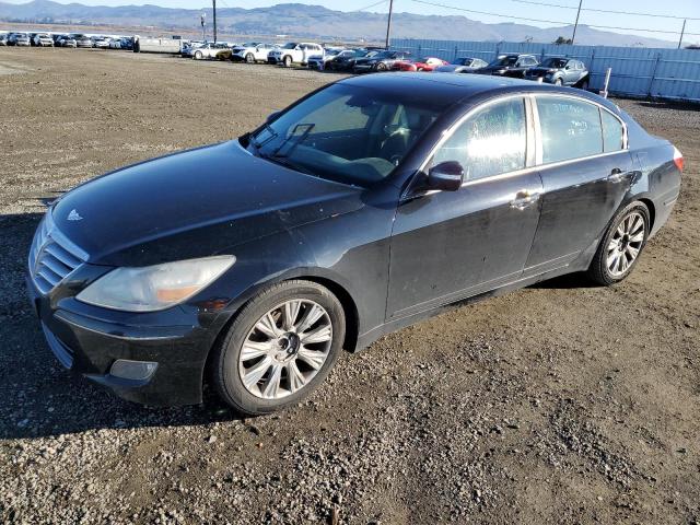 2009 HYUNDAI GENESIS 3.8L, 