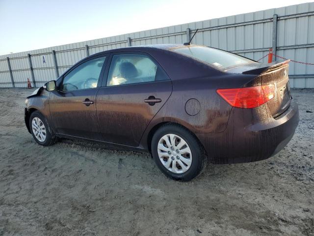 KNAFU4A21A5288649 - 2010 KIA FORTE EX BROWN photo 2