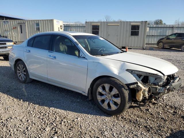 5KBCP3F83AB010050 - 2010 HONDA ACCORD EXL WHITE photo 4