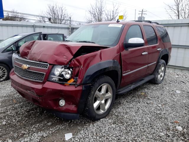 1GNSKAE01BR155065 - 2011 CHEVROLET TAHOE K1500 LS BURGUNDY photo 1