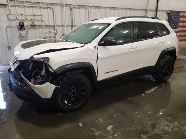 1C4PJMBN6LD538176 - 2020 JEEP CHEROKEE TRAILHAWK WHITE photo 1