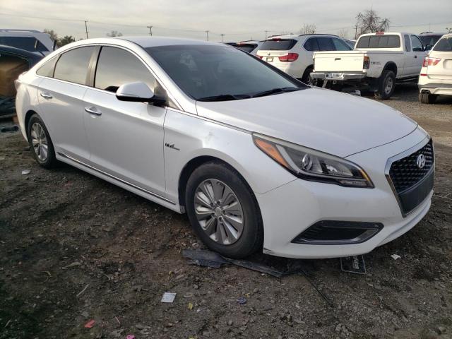 KMHE24L1XGA026102 - 2016 HYUNDAI SONATA HYBRID WHITE photo 4